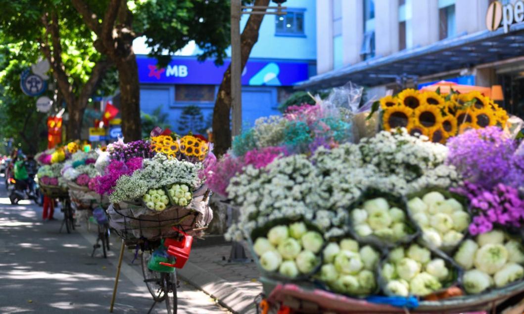 Khách sạn Hoa Hà Nội